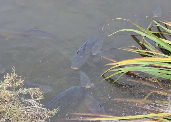 Harz Comfortable Michaelstein